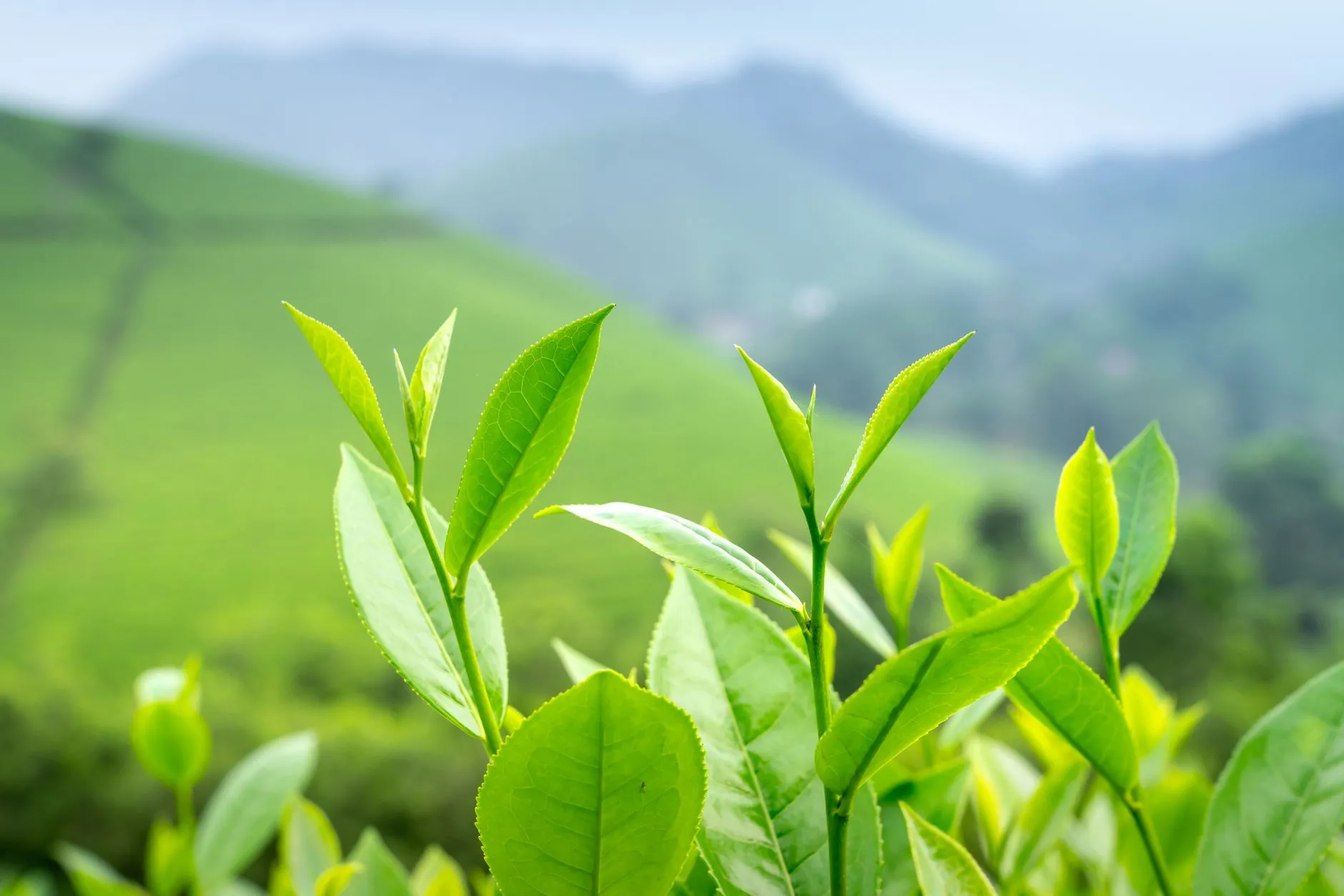 贵州利美康整形外科医院引进数字化皮肤检测技术提升诊疗精度