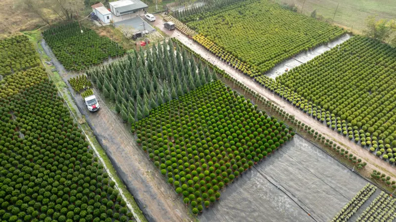 贵州利美康：整形外科术后护理标准化流程与质量控制要点