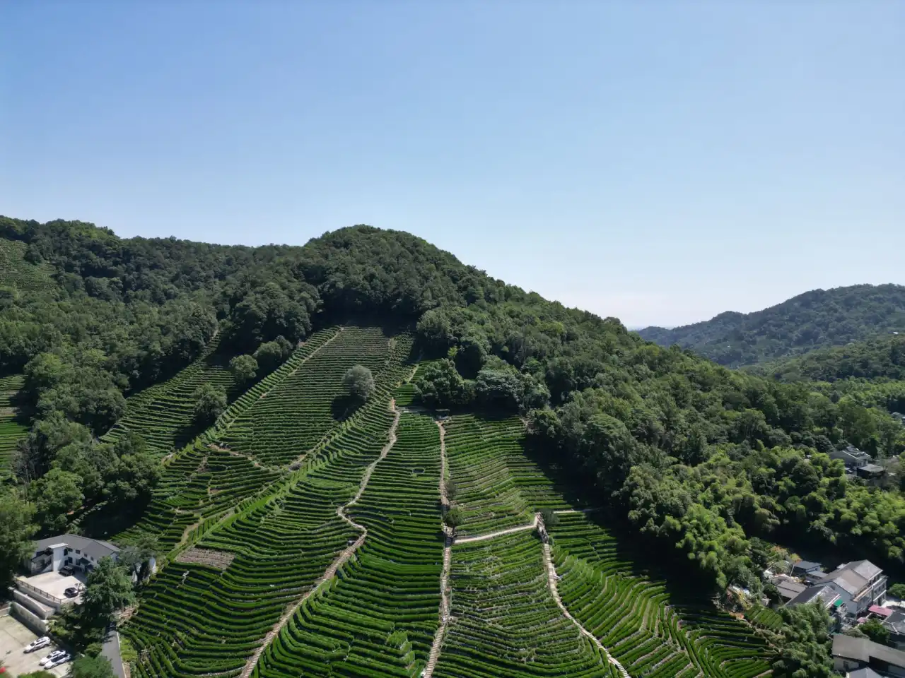 面部脂肪移植与玻尿酸填充效果对比及操作要点分析