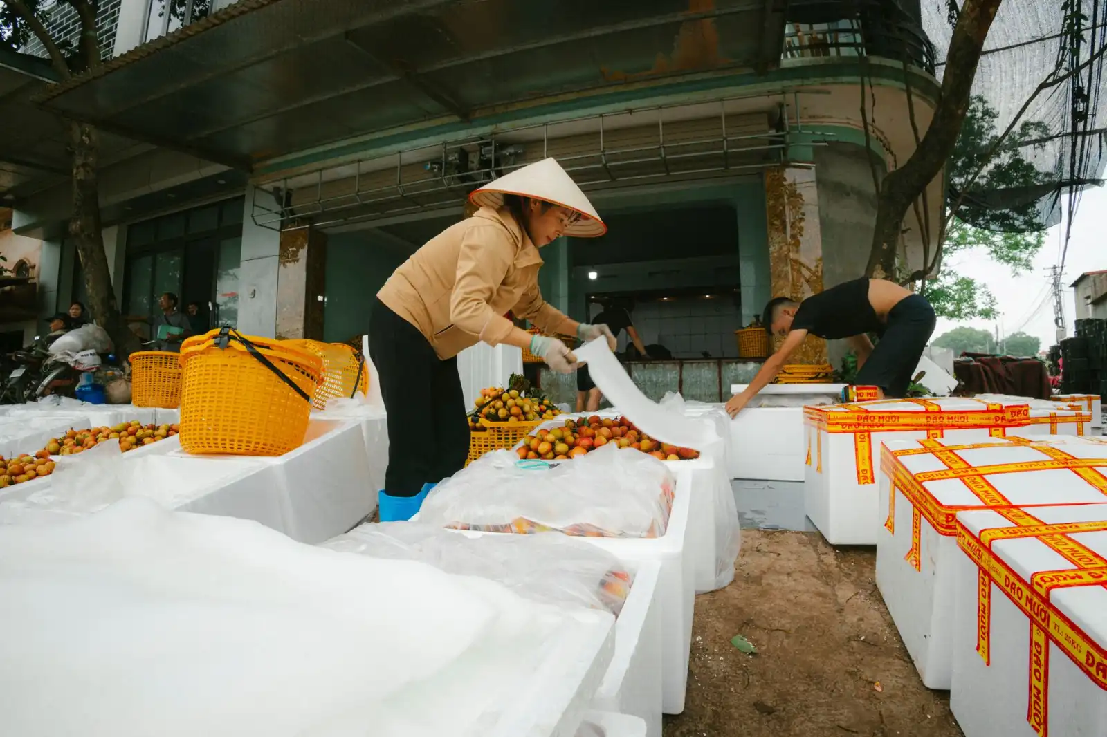 贵州利美康外科医院科普：整形外科与医疗美容的核心区别解析