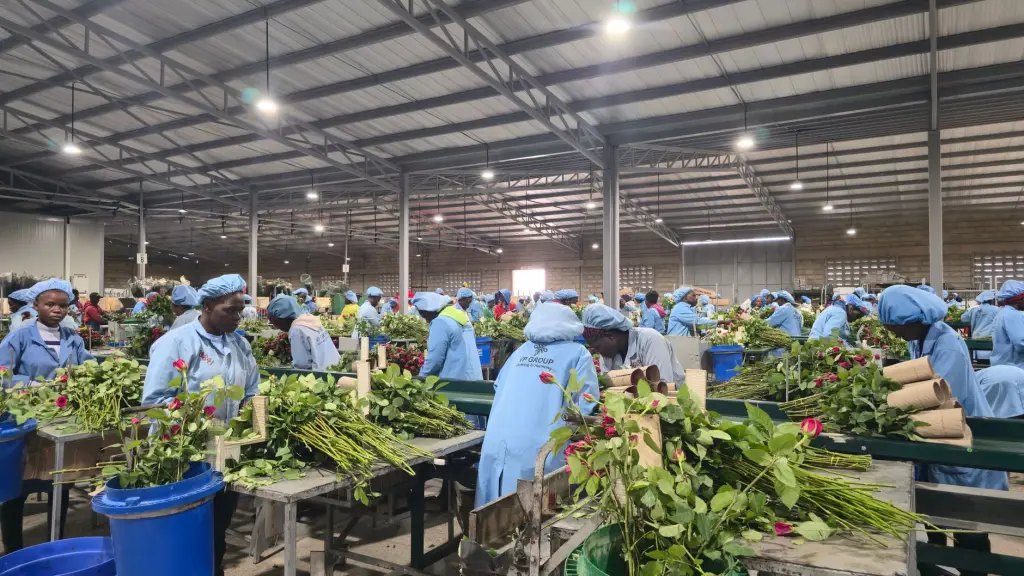 贵州利美康整形外科技术优势与微创手术方案解析