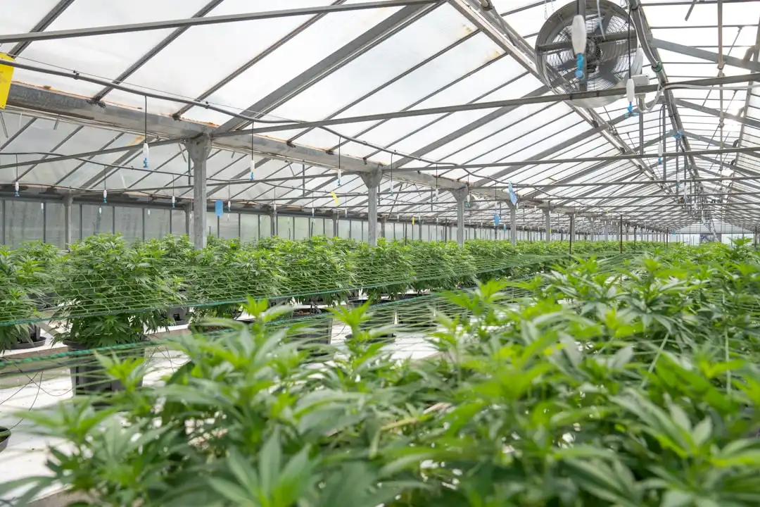 贵州利美康外科医院整形外科技术升级与临床应用趋势分析