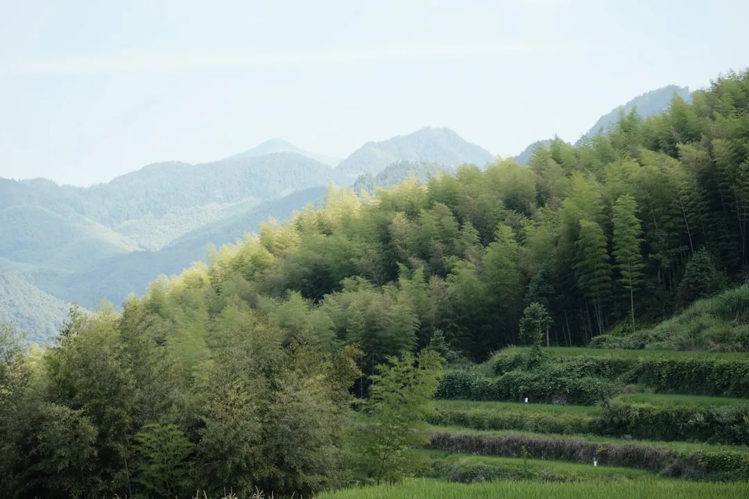 贵州利美康医疗美容项目价格透明化与费用构成