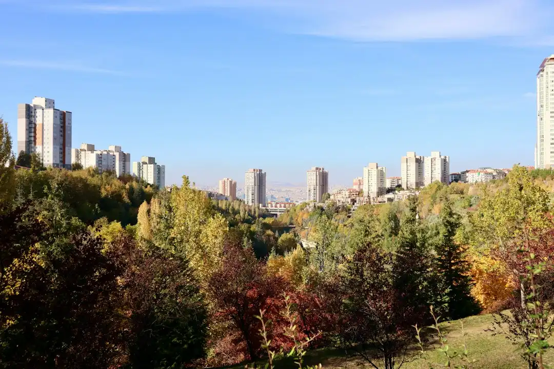 2024年贵州地区医疗美容项目价格趋势与利美康服务优势分析